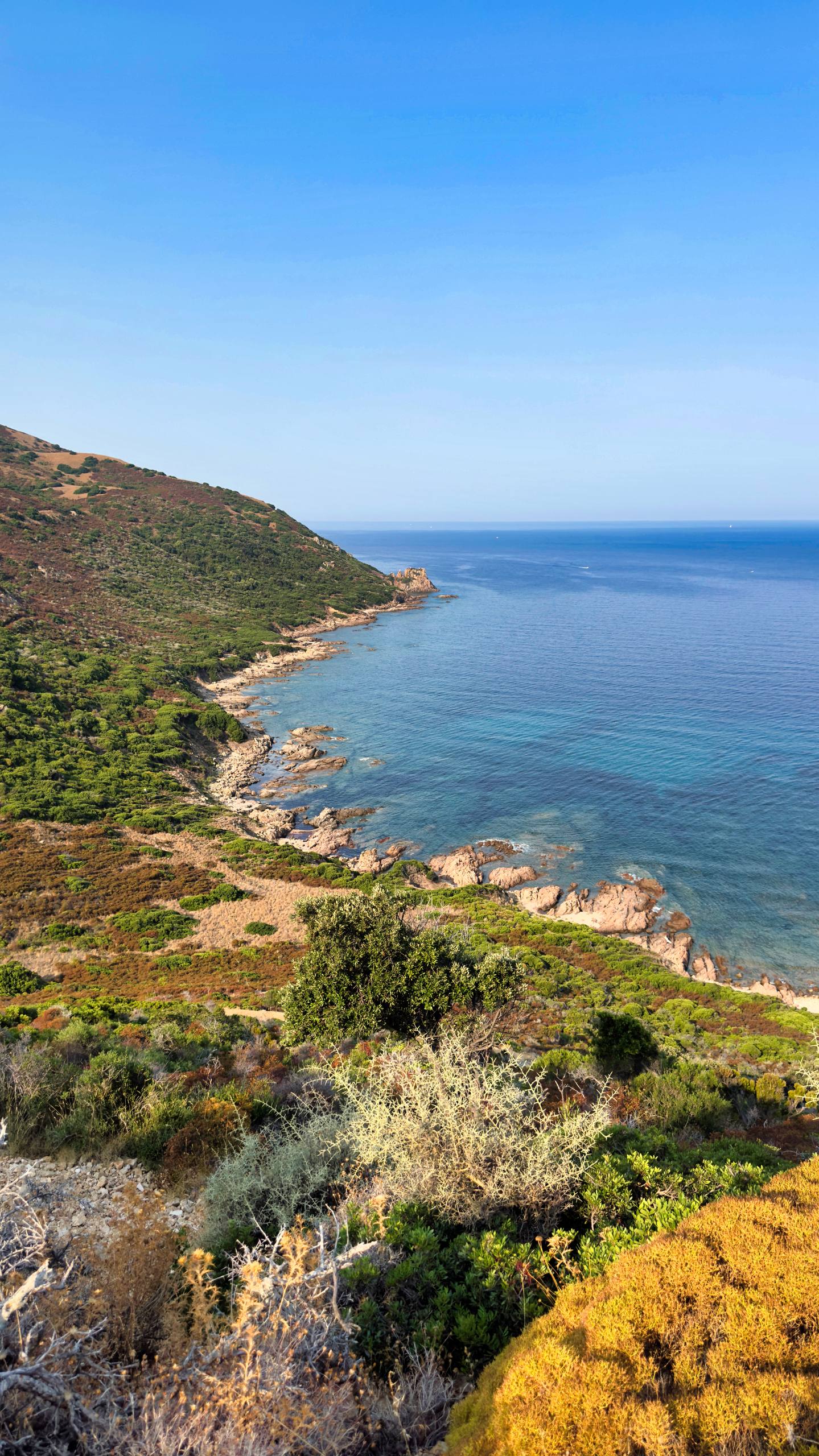 A clifftop view over green maquis to the deep blue Mediterranean