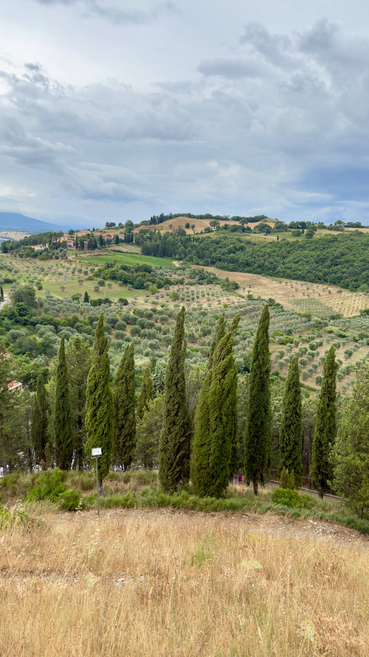 A cluster of cypress trees in the foreground with rolling hills, olive groves and a farmhouse beyond under a moody grey sky
