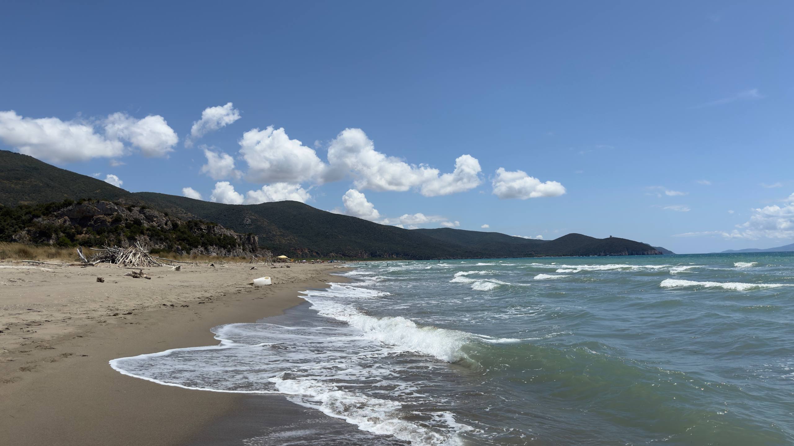 A wide empty wild beach with frothy waves and forested green headlands curving into the distance